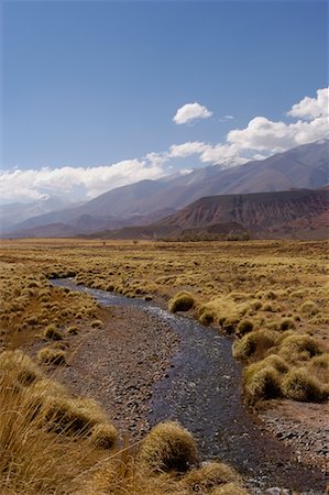 salt - Vue d'ensemble du paysage, La Poma, Cachi, Province de Salta, Argentine Photographie de stock - Rights-Managed, Code: 700-00424918