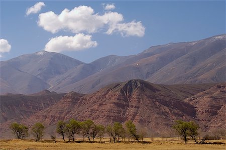 salt - Vue d'ensemble du paysage, La Poma, Cachi, Province de Salta, Argentine Photographie de stock - Rights-Managed, Code: 700-00424922