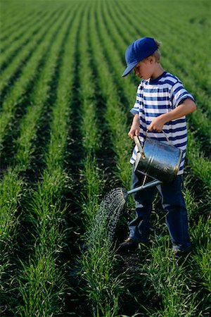 Boy Watering a Wheat Field Stock Photo - Rights-Managed, Code: 700-00425070
