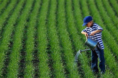 Boy watering a Wheat Field Stock Photo - Rights-Managed, Code: 700-00425071