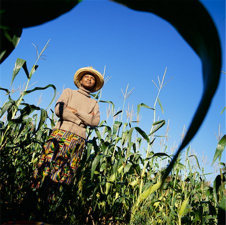 farmer looking into the distance - Portrait of Woman in Cornfield Stock Photo - Rights-Managed, Code: 700-00429621