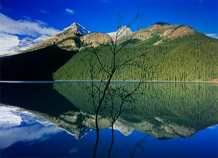 simsearch:841-07590044,k - Lake Louise, Banff National Park, Alberta, Canada Stock Photo - Rights-Managed, Code: 700-00452689