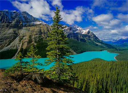 simsearch:841-07590044,k - Mount Patterson, Peyto Lake, Banff National Park, Alberta, Canada Stock Photo - Rights-Managed, Code: 700-00452691