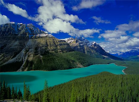 simsearch:600-06125581,k - Mount Patterson, Peyto Lake, Banff National Park, Alberta, Canada Stock Photo - Rights-Managed, Code: 700-00452693