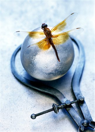 Dragonfly, Silver Ball and Callipers Foto de stock - Con derechos protegidos, Código: 700-00477232