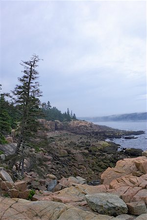 Littoral rocheux, le Parc National Acadia, Maine, États-Unis Photographie de stock - Rights-Managed, Code: 700-00477462