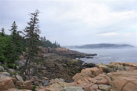 Littoral rocheux, le Parc National Acadia, Maine, États-Unis Photographie de stock - Rights-Managed, Code: 700-00477463