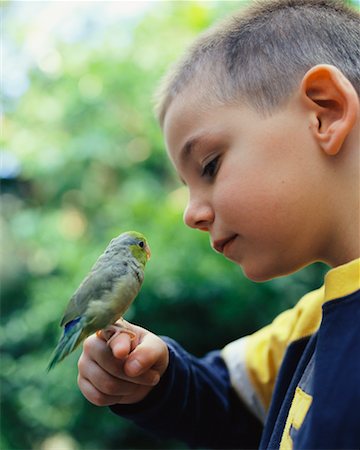 preteens fingering - Portrait of Boy With Lovebird Stock Photo - Rights-Managed, Code: 700-00477666