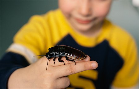simsearch:700-00477662,k - Child Holding Giant Cockroach Stock Photo - Rights-Managed, Code: 700-00477670