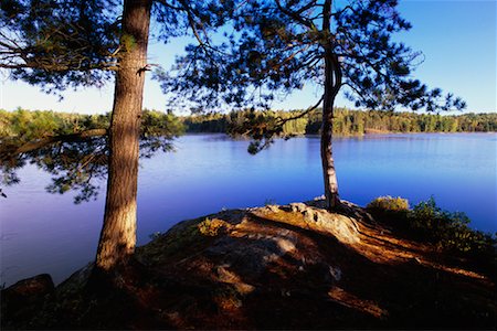 Pinetree Lake, Algonquin Provincial Park, Ontario, Canada Stock Photo - Rights-Managed, Code: 700-00478054