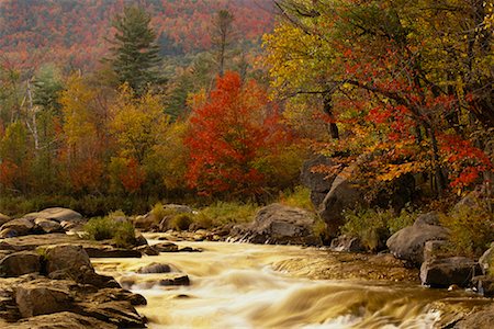 simsearch:700-00157939,k - River Rapids in Forest Ausable River, Adirondack Park, New York State, USA Stock Photo - Rights-Managed, Code: 700-00481914