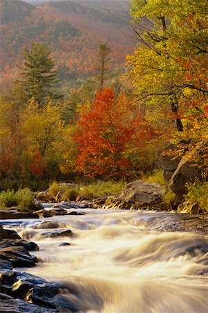simsearch:700-00073991,k - River Rapids in Forest Ausable River, Adirondack Park, New York State, USA Stock Photo - Rights-Managed, Code: 700-00481915