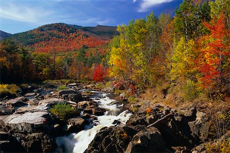 simsearch:700-00157939,k - River Rapids in Forest Ausable River, Adirondack Park, New York State, USA Stock Photo - Rights-Managed, Code: 700-00481916