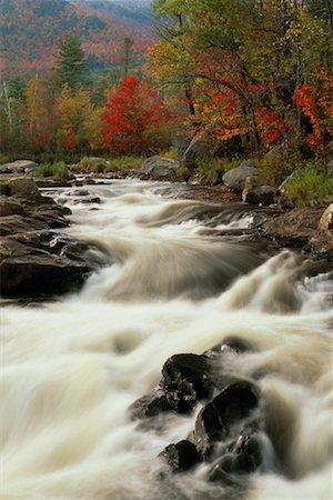 simsearch:700-00157939,k - River Rapids in Forest Ausable River, Adirondack Park, New York State, USA Stock Photo - Rights-Managed, Code: 700-00481918