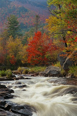 simsearch:700-00073991,k - River Rapids in Forest Ausable River, Adirondack Park, New York State, USA Stock Photo - Rights-Managed, Code: 700-00481919