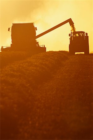 simsearch:600-00013556,k - Combine Harvester and Tractor In Silhouette at Dusk Stock Photo - Rights-Managed, Code: 700-00506770