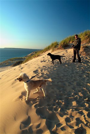 Man With Two Dogs at Beach, Sleeping Bear Dunes National Lakeshore, Michigan, USA Stock Photo - Rights-Managed, Code: 700-00518656