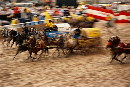 picture of man riding a cart - Chuckwagon Racing at the Calgary Stampede, Calgary, Alberta, Canada Stock Photo - Rights-Managed, Code: 700-00529659