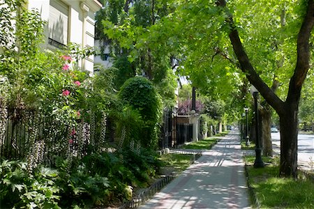 Street Scene in Providencia, Santiago, Chile Stock Photo - Rights-Managed, Code: 700-00520179