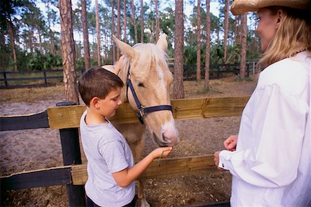 simsearch:700-00073572,k - Mother and Son Feeding Horse Stock Photo - Rights-Managed, Code: 700-00520745