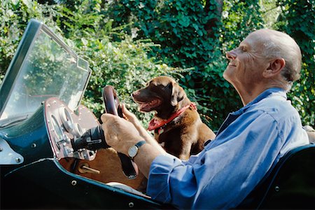 Man and Dog in Antique Car Stock Photo - Rights-Managed, Code: 700-00523507