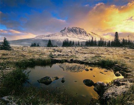 Mount Clitheroe, Tonquin Valley, Jasper National Park, Alberta, Canada Stock Photo - Rights-Managed, Code: 700-00530161