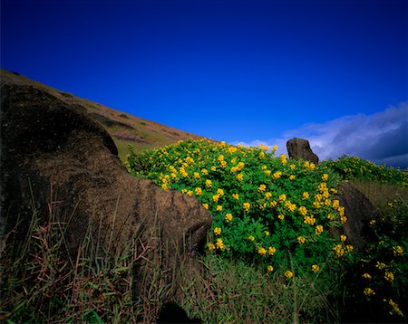 simsearch:400-04021596,k - Moai, Rano Raraku, Easter Island, Chile Foto de stock - Con derechos protegidos, Código: 700-00546784