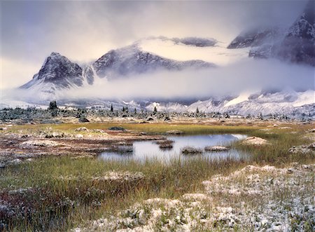 Surprise Point, Tonquin Valley, Jasper National Park, Alberta, Canada Stock Photo - Rights-Managed, Code: 700-00549251