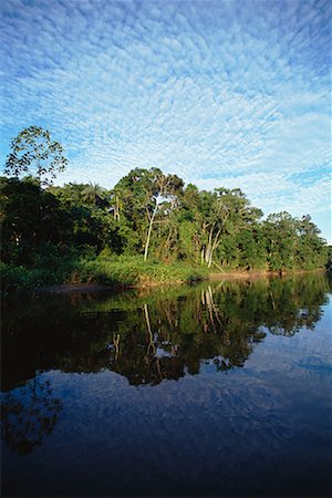 simsearch:700-00023229,k - Amazon Basin, Ecuador Foto de stock - Con derechos protegidos, Código: 700-00554379