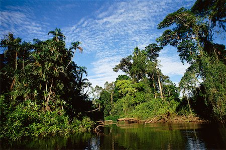 simsearch:700-00023229,k - Amazon Basin, Ecuador Foto de stock - Con derechos protegidos, Código: 700-00554384