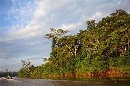 simsearch:700-00023229,k - Amazon Basin, Ecuador Foto de stock - Con derechos protegidos, Código: 700-00554380