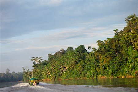 simsearch:700-00023229,k - Amazon Basin, Ecuador Foto de stock - Con derechos protegidos, Código: 700-00554381
