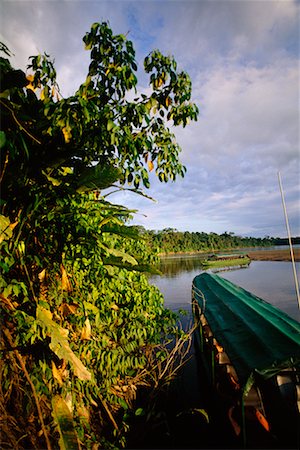 simsearch:700-00023229,k - Tour Boat in Rainforest, Rio Aguarico, Ecuador Foto de stock - Con derechos protegidos, Código: 700-00554383