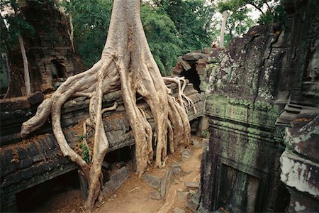 root ruin - Ta Prohm, Cambodge Photographie de stock - Rights-Managed, Code: 700-00554432