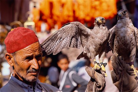 simsearch:700-00555591,k - Man Holding Falcon, Morocco Stock Photo - Rights-Managed, Code: 700-00554844
