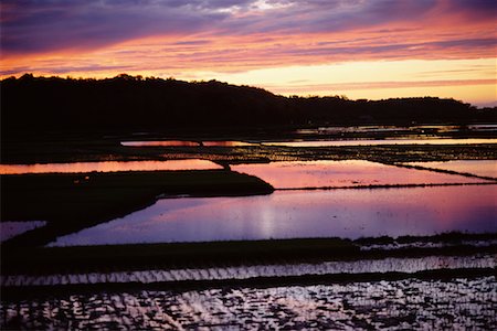 simsearch:700-00057322,k - Sunset Over Rice Paddies, Ilocos Norte, Philippines Stock Photo - Rights-Managed, Code: 700-00555273