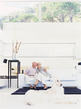 simsearch:700-00194002,k - Couple in Living Room With Dog Stock Photo - Rights-Managed, Code: 700-00557017