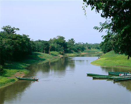 Amazon River and Rainforest, Brazil Stock Photo - Rights-Managed, Code: 700-00553831