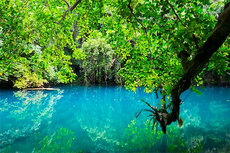 simsearch:700-03814221,k - The Blue Hole, Espiritu Santo, Vanuatu Foto de stock - Con derechos protegidos, Código: 700-00561066