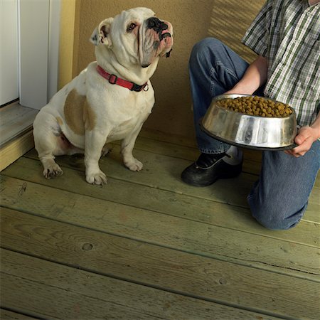 simsearch:700-06570975,k - Boy Feeding His Dog Stock Photo - Rights-Managed, Code: 700-00593039