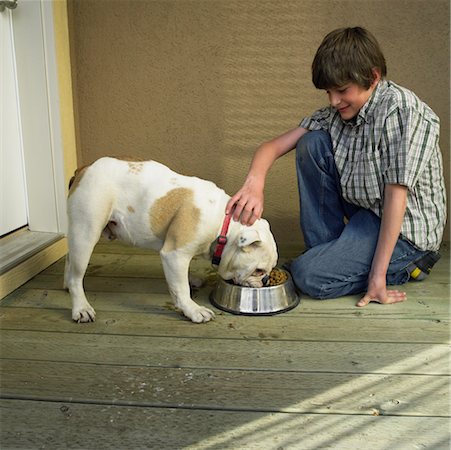 simsearch:700-00071488,k - Boy Feeding His Dog Stock Photo - Rights-Managed, Code: 700-00593041