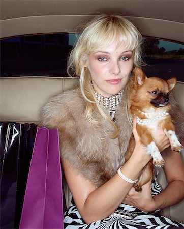 Woman in Back Seat of Car with Chihuahua Stock Photo - Rights-Managed, Code: 700-00604935