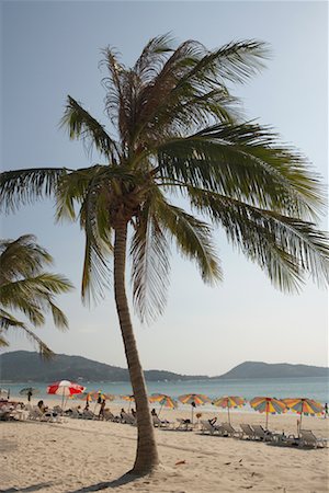 simsearch:841-02705293,k - Patong Beach, Phuket, Thailand Stock Photo - Rights-Managed, Code: 700-00605172