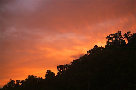 simsearch:700-01196029,k - Sunrise on Ilha da Gipoia, Angra dos Reis, Rio de Janeiro, Brazil Stock Photo - Rights-Managed, Code: 700-00606169