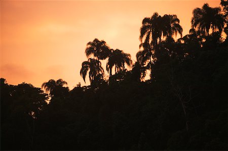 simsearch:700-00023229,k - Sunrise on Ilha da Gipoia, Angra dos Reis, Rio de Janeiro, Brazil Foto de stock - Con derechos protegidos, Código: 700-00606170