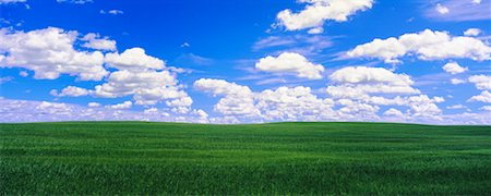 simsearch:600-01236293,k - Champ d'orge et de nuages, Crossfield, Alberta, Canada Photographie de stock - Rights-Managed, Code: 700-00607625