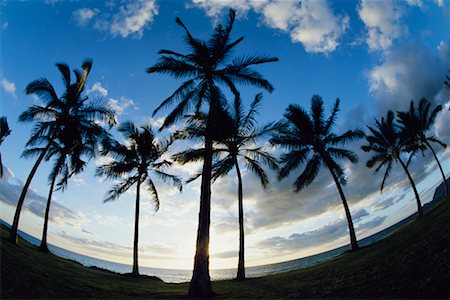 simsearch:614-05955565,k - Nanakuli parc de la plage au coucher du soleil, Oahu, Hawaii, USA Photographie de stock - Rights-Managed, Code: 700-00607654