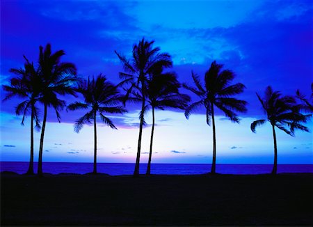simsearch:614-05955565,k - Parc de la plage nanakuli à la nuit tombante, Oahu, Hawaii, USA Photographie de stock - Rights-Managed, Code: 700-00607681