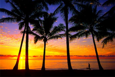 Man Walking Dog at Sunrise, Palm Cove, Queensland, Australia Stock Photo - Rights-Managed, Code: 700-00607778
