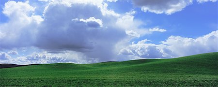 simsearch:700-00515479,k - Wheat Field and Storm Clouds, Palouse, Washington, USA Foto de stock - Con derechos protegidos, Código: 700-00603450